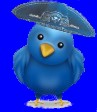 Visit Twitter  Guadalajara Jalisco Mexico